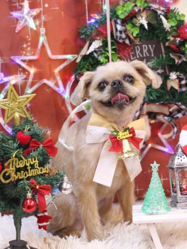 20231224ムーくん